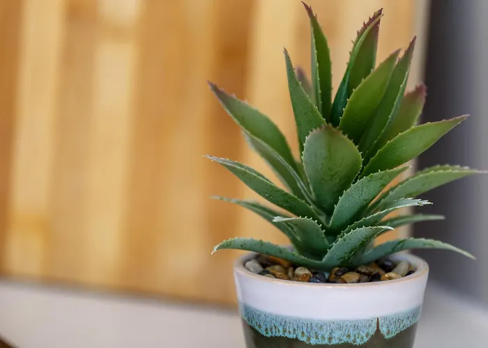 1 Bedroom - Centre Apartment, Apartment Bradford (West Yorkshire)