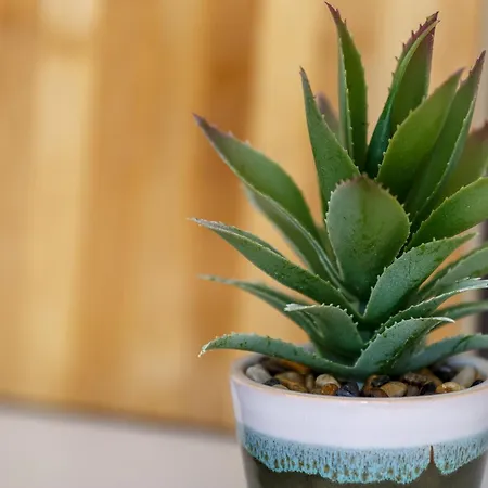 1 Bedroom - Centre Apartment, Appartement Bradford (West Yorkshire)