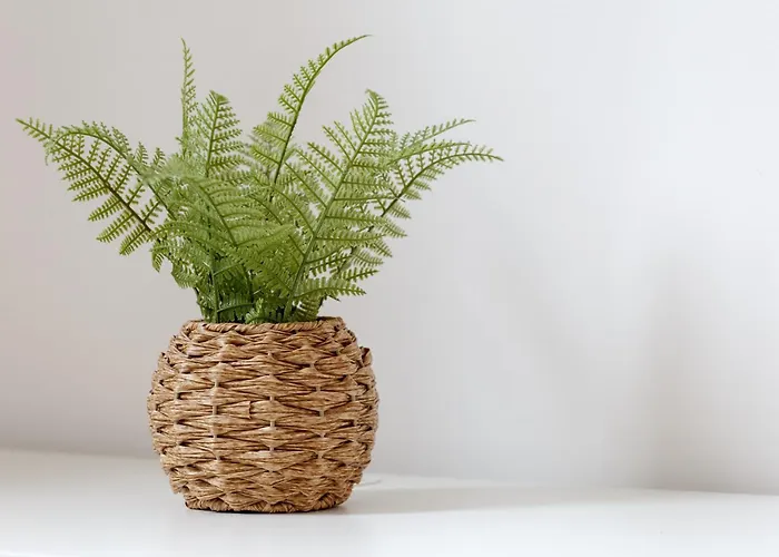 Appartement 1 Bedroom - Centre Apartment, Bradford (West Yorkshire)